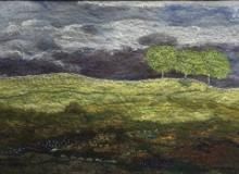 Jan Hoyle
