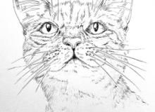Pippa Hicks